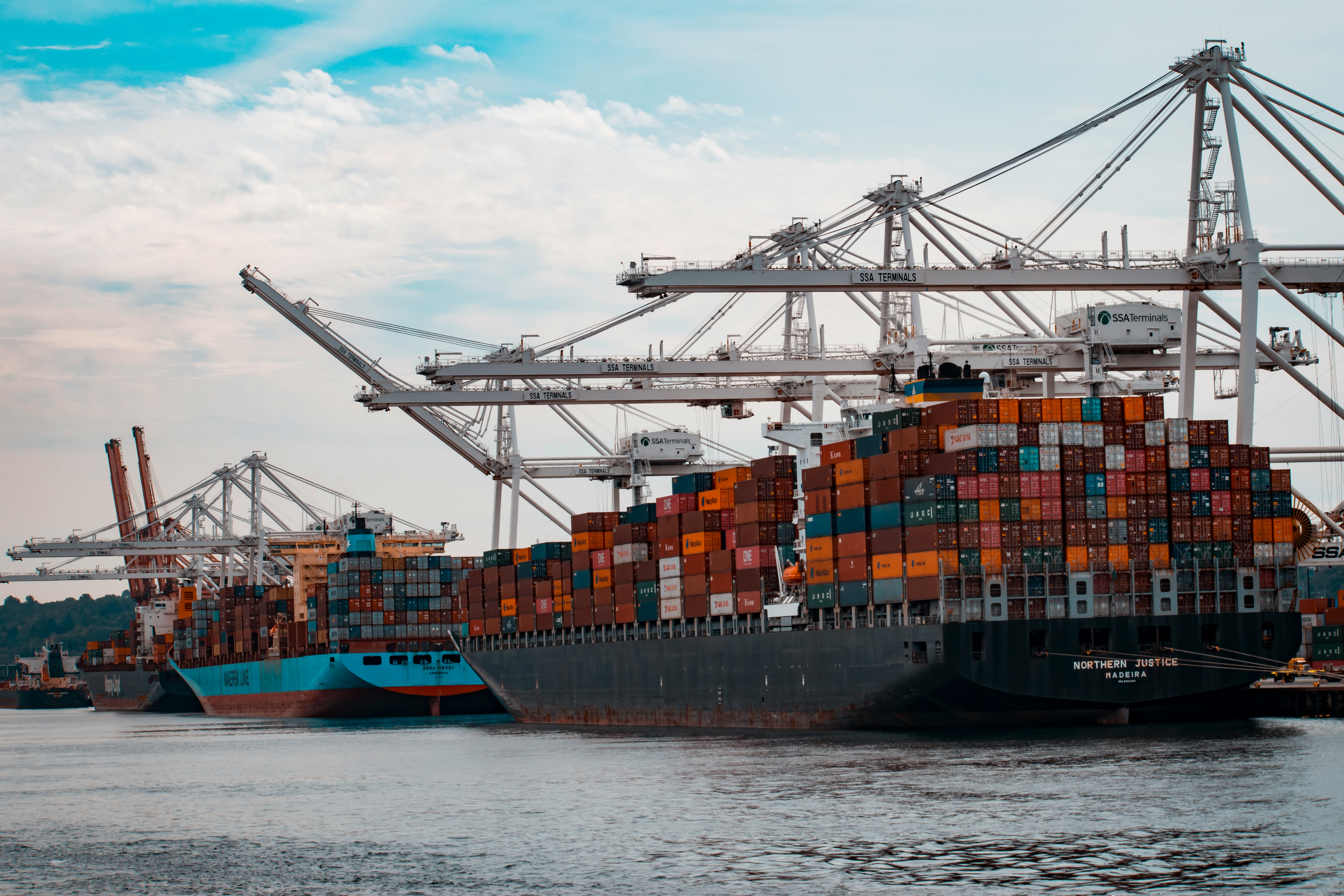 Port container terminal with cranes